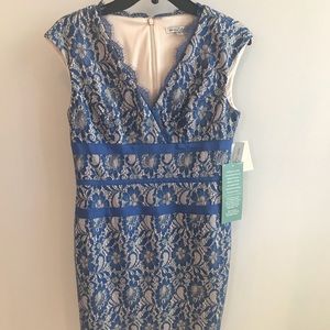 Lace Overlay Dress